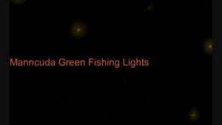 Underwater Fishing Lights  NEW AA Battery Operated  Night Fishing Made Easy [upl. by Schaffel]