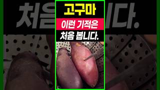 고구마와 이것 함께 먹었더니 의사들도 놀란 변화가 일어났어요고구마와 상극인 음식 항암식품다이어트식품건강음식고구의 효능대파의 효능당뇨음식혈당혈관청소음식노년기 건강 [upl. by Kermy]