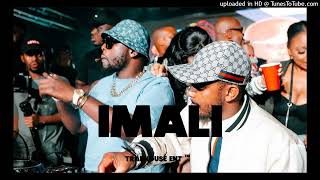 Kabza De SmallDj MaphorisaTylerICU Dj Byza ft LeeMcKrazy  quotImaliquot  Amapiano Type Beat 2024 [upl. by Kyd]