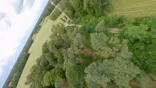 Fpv Drone  TreeStyle  Apex 5 [upl. by Daahsar]