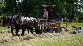 Percheron mit Vorderwagen  Kreiseln amp Schwadern [upl. by Ennayram]