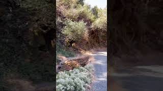 Shirttail Canyon offroad trail waterfall [upl. by Laurance]