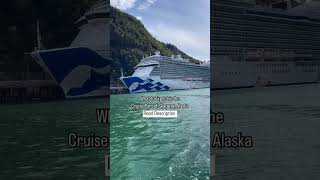 What to Expect in the Cruise Port of Skagway Alaska Read Description skagway discoveryprincess [upl. by Dnalloh335]