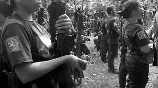 NPA in Bicol celebrates CPPs 50th anniversary [upl. by Dinse]