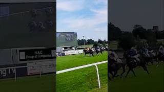 Leicester enjoying horse racecourse indianvlogger shortsvideoviral 2uk [upl. by Weasner]