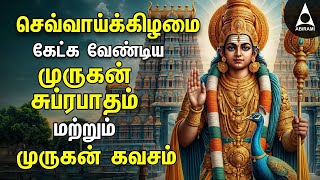 Tuesday Murugan Tamil Devotional Songs  Palani Thiruchendur Tiruthani Pazhamudircholai [upl. by Eiuqnimod]