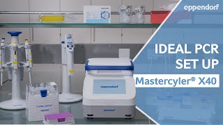 The Ideal PCR Set Up  Properly Prepared with Eppendorf Mastercycler® X40 [upl. by Vod]