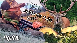 Jelenia ruja 2024 [upl. by Groeg]