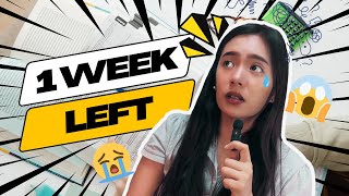 What to do 1 Week before the Board Exam [upl. by Anastasio625]