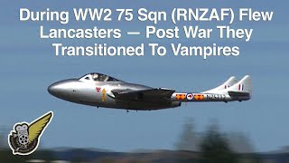 The Goblin Screams  Vampire Jets In New Zealand [upl. by Eiramrefinnej]