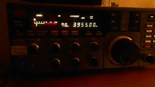 Welle 370 via Rohrbach 13 10 2024 3955 kHz 17 00 UTC [upl. by Delilah]