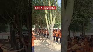 Morning assembly pt exercises  nice work  good school work  trending school  shorts pt video [upl. by Gare77]