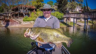 11 lb Bass Eats A Bluegill Swimbait New Personal Best [upl. by Joost]