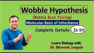 Wobble Hypothesis  Wobble Base Pairing  Molecular Biology of Gene  NEET  MHTCET [upl. by Rairb]