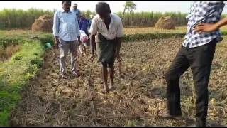 Zero tillage in maiZe at bobbili mandal [upl. by Yrogreg533]