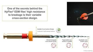 How to Use Coltene Hyflex EDM Endodontic File Dentbearcom [upl. by Isabeau]