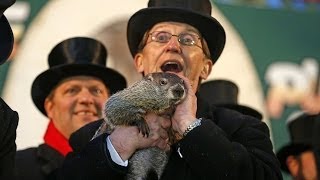 Groundhog Day 2014 Punxsutawney Phil Sees Shadow [upl. by Neztnaj]