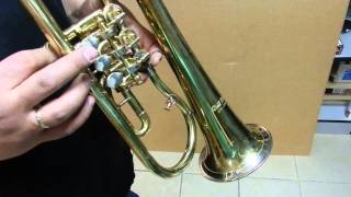 Flugelhorn Flügelhorn LIDL BRNO AFH 531 [upl. by Dadirac]