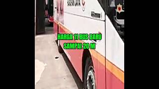 Harga 11 bus baru po harapan jaya tembus 20 millyarpo harapan jaya [upl. by Larrisa547]