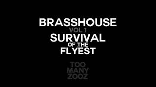 Too Many Zooz  Dima Audio  Brasshouse Volume 1 [upl. by Benzel]