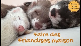 Recette friandises maison saines et naturelles  Les Furets Malins [upl. by Nohpets]