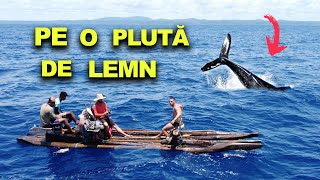 La pescuit de BALENE în OCEANUL ATLANTIC vlog documentar Brazilia [upl. by Ahoufe]