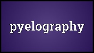 Pyelography Meaning [upl. by Nedarb884]