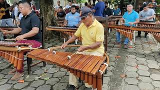 Aquella Indita Rondalla de Marimbas en Monimbo [upl. by Hochman]