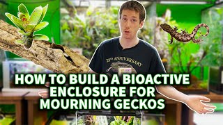 Building a Mourning Gecko enclosure with The Dude [upl. by Hgierb]