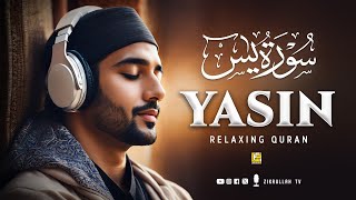 Stunning recitation of Surah Yasin Yaseen سورة يس  Relaxing Soft Voice  Zikrullah TV [upl. by Natanhoj]