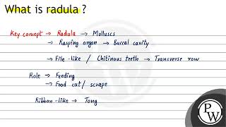 What is radula [upl. by Vally302]