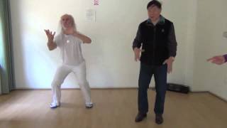 林厚省 Lin Housheng teaching Taiji Qigong Shibashi Francois Caron [upl. by Ivatts]