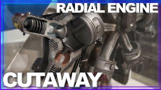 INSIDE LOOK How a Radial Engine Works AMAZING Cutaway in Motion [upl. by Lanette]