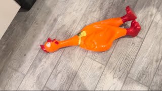 Giant orange rubber chicken screaming [upl. by Anevad]