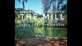 Reality Carp Fishing TV  The Mill Day Ticket Lake  Essex Carp Syndicates [upl. by Monroy]