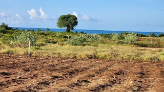 BEACH PLOT NAMBA 2 INAUZWA KIGAMBONI GEZA ULOLE BEI LAKI MOJA NA SITINI KWAKILA SQUARE METERS MOJA [upl. by Uos]