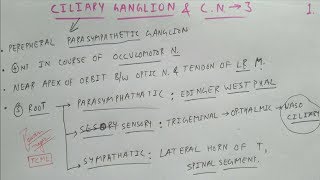 Ciliary Ganglion amp Oculomotor Nerve  1  Cranial Nerve  Neuro Anatomy  TCML [upl. by Carpio]