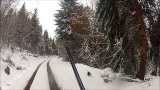 battue au sanglier dans la neige saison 20132014 tir dun sanglier wild boar hunting go pro hd [upl. by Reinnej]