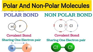 Polar and Non Polar Molecule in Urdu l Hindi l How to know if a molecule is polar or non polar l [upl. by Rapp]