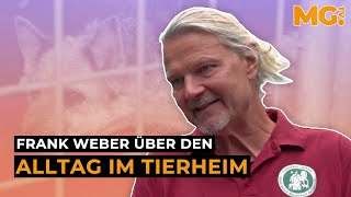 Besuch im TIERHEIM Frank Weber kümmert sich um herrenlose Tiere [upl. by Ingar]