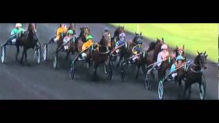 Prix Ténor de Baune 2014Up And Quick 1133JM Bazire [upl. by Barde636]