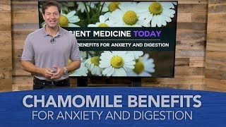 Chamomile Benefits for Anxiety and Digestion [upl. by Aleece476]