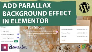 How to Add Parallax Background Effect on Container Background Image in Elementor  Zoom  Scroll [upl. by Haem]