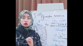 NUCLEOPROTEIN Metabolism Session 4Pyrimidine metabolism P 1 [upl. by Ainaj]