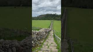 Hadrians Wall Built from 122AD running for 73 miles across the north of England history uk fyp [upl. by Jaycee]