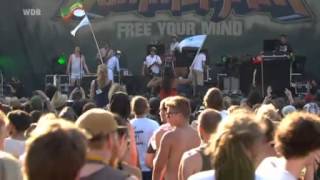 Fat Freddys Drop live  Summerjam 2013 [upl. by Pliner]