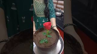 Flower pot rose dessert🌹🍰shortsicecreamchocolate [upl. by Anaya]