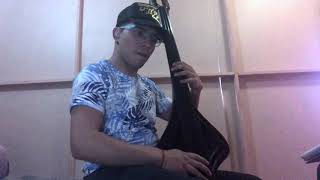 Ligia Elena  Ruben Blades Baby Bass Cover Alexis Ojeda [upl. by Aniri777]