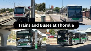 Trains and buses at Thornlie [upl. by Yllim]