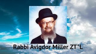 Rav Avigdor Miller ztquotl  The Artificial Man [upl. by Malena]